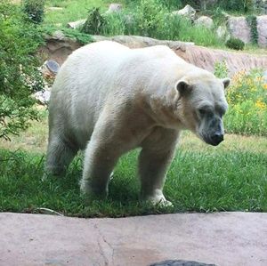 Meet your Posher, Kenton